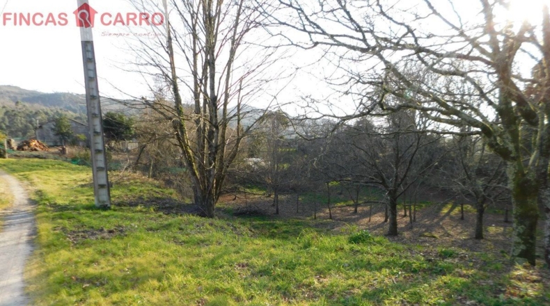 Pontevedra - Ponteareas - 6300m2