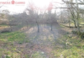 Non-developable land for sale in Cerdedo ref: TR57400 photo