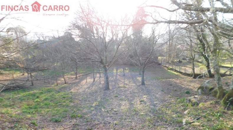 Pontevedra - Ponteareas - 6300m2