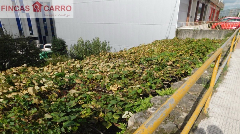Pontevedra - Areas - 646m2