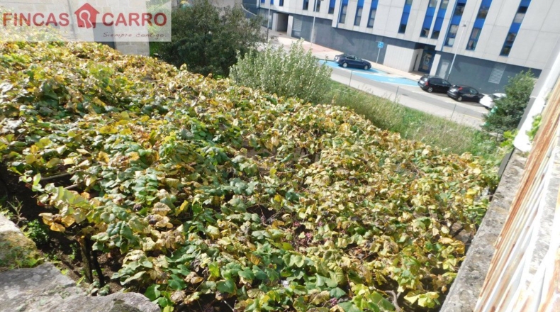 Pontevedra - Areas - 646m2