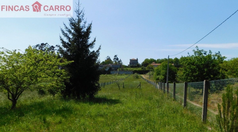 Pontevedra - Santa Xeve O Quinteiro - 4424m2