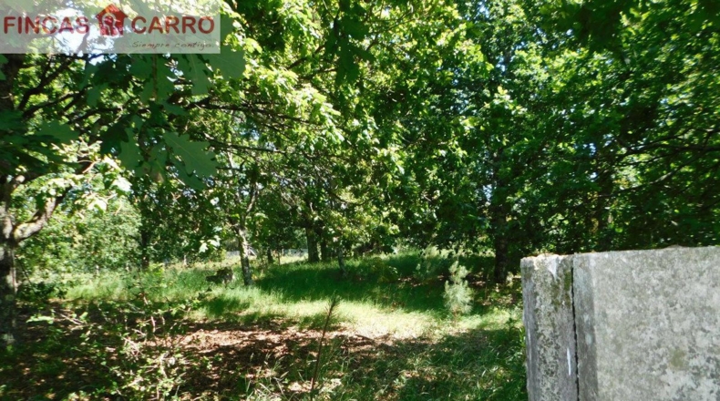 Pontevedra - Santa Xeve O Quinteiro - 4424m2