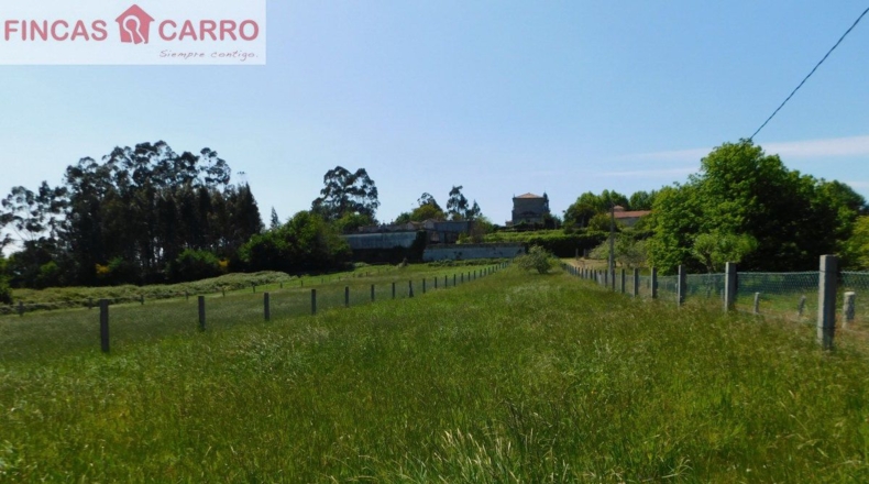 Pontevedra - Santa Xeve O Quinteiro - 4424m2