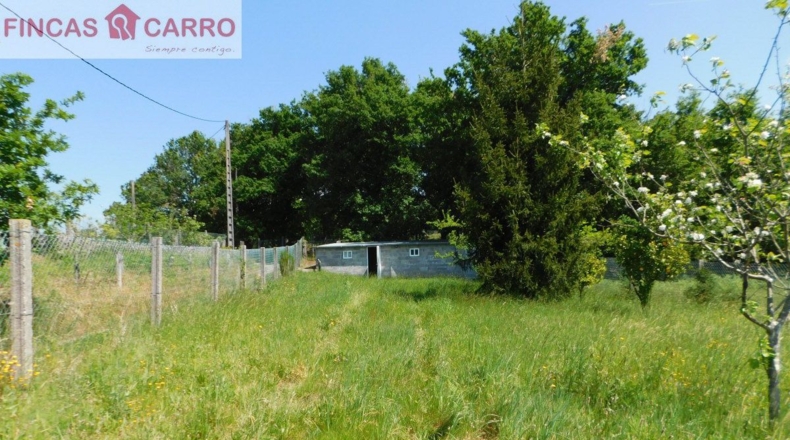 Pontevedra - Santa Xeve O Quinteiro - 4424m2