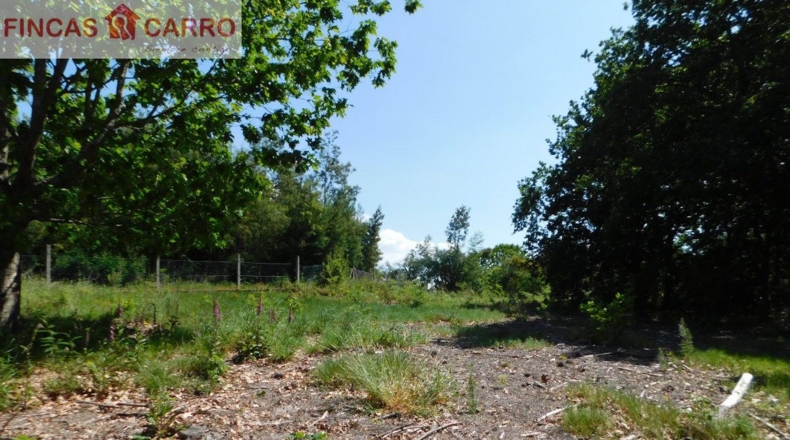 Pontevedra - Santa Xeve O Quinteiro - 4424m2