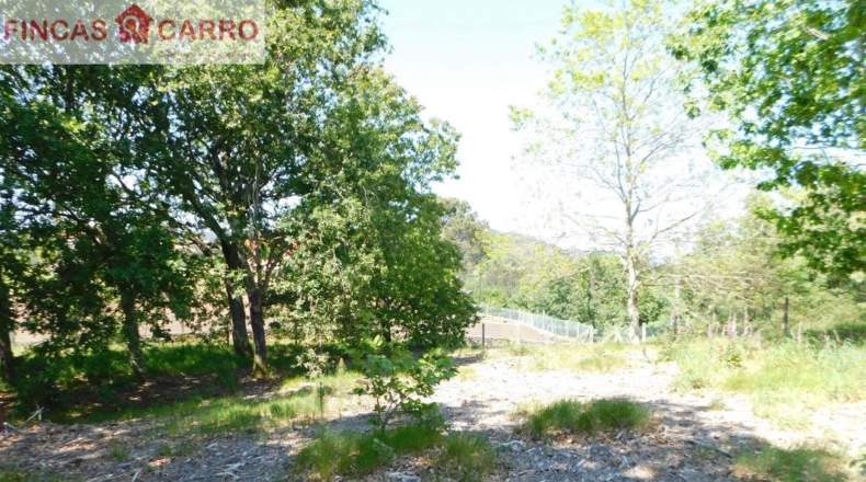 Pontevedra - Santa Xeve O Quinteiro - 4424m2
