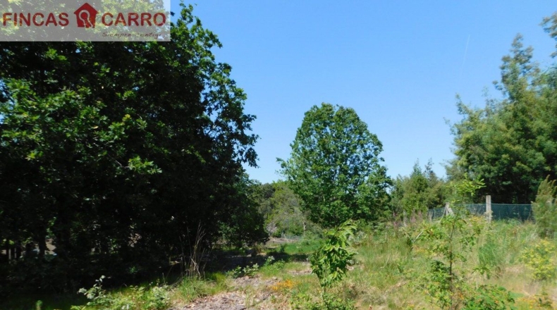 Pontevedra - Santa Xeve O Quinteiro - 4424m2