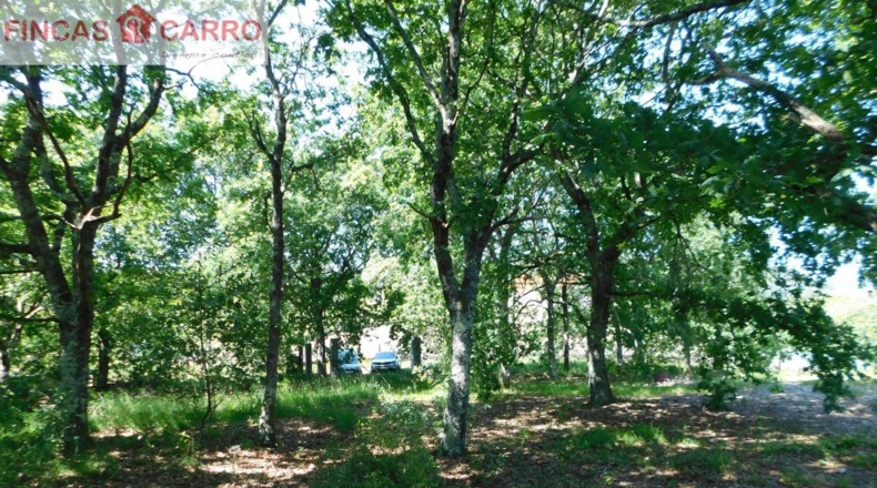 Pontevedra - Santa Xeve O Quinteiro - 4424m2