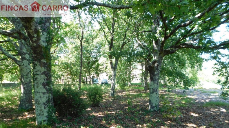 Pontevedra - Santa Xeve O Quinteiro - 4424m2