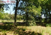 Finca rústica en venda a Pontevedra ref.: TR62104 foto