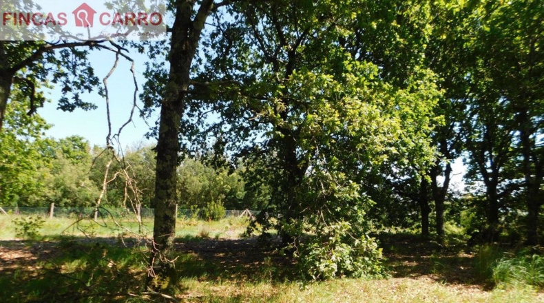 Pontevedra - Santa Xeve O Quinteiro - 4424m2