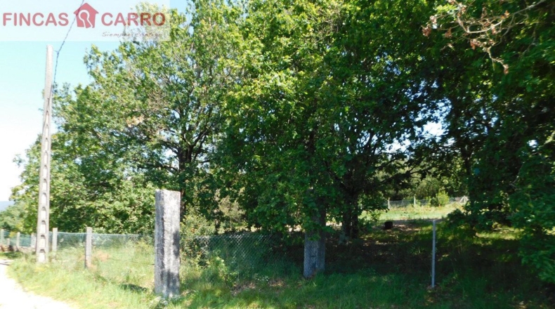 Pontevedra - Santa Xeve O Quinteiro - 4424m2