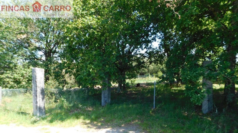 Pontevedra - Santa Xeve O Quinteiro - 4424m2