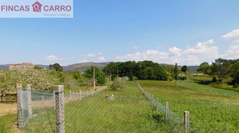 Pontevedra - Santa Xeve O Quinteiro - 4424m2