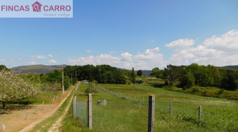 Pontevedra - Santa Xeve O Quinteiro - 4424m2