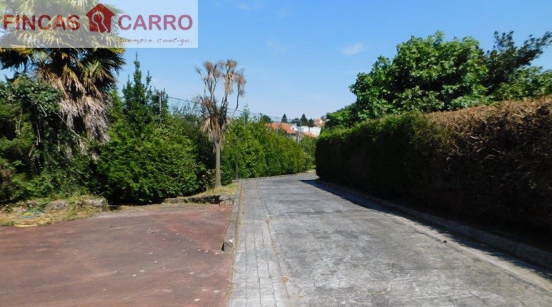 Pontevedra - Pontevedra - 550m2