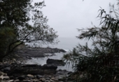 Non-developable land for sale in Pontevedra ref: TR69261 photo