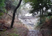 Non-developable land for sale in Pontevedra ref: TR69261 photo