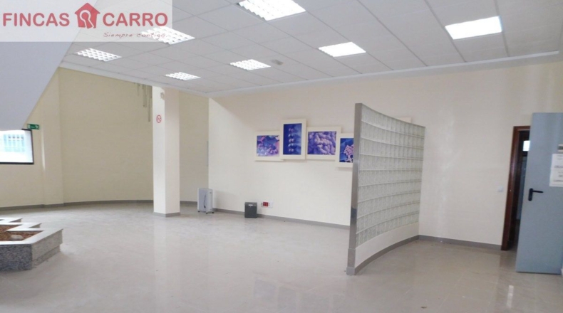 Pontevedra - Pontevedra - 3500m2
