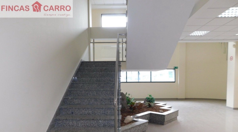 Pontevedra - Pontevedra - 3500m2