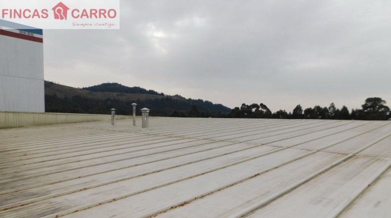 Pontevedra - Pontevedra - 3500m2