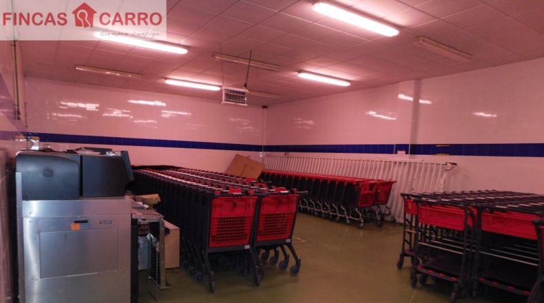 Pontevedra - Pontevedra - 3500m2