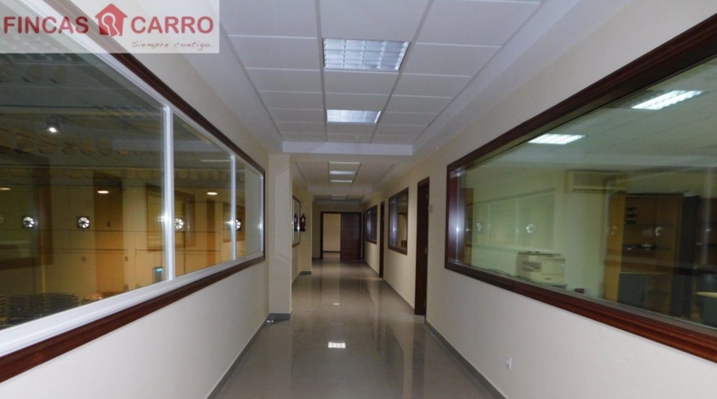 Pontevedra - Pontevedra - 3500m2