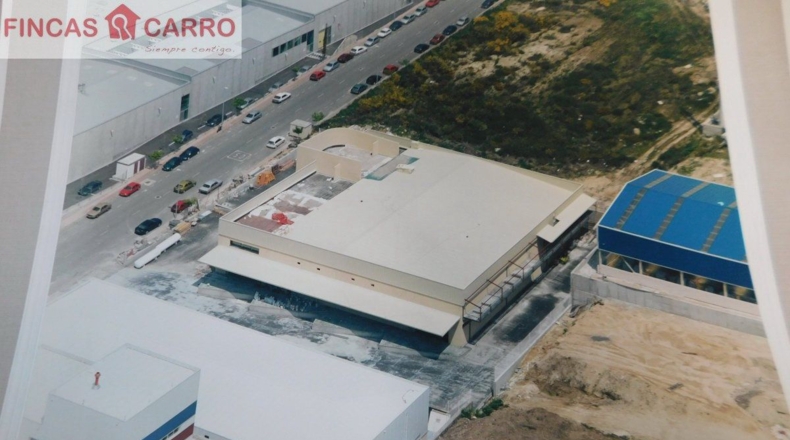 Pontevedra - Pontevedra - 3500m2