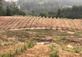 Non-developable land for sale in Pontevedra ref: TR72370 photo