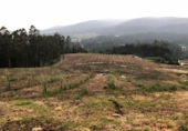 Non-developable land for sale in Pontevedra ref: TR72370 photo