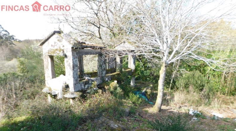 Pontevedra - Arcos - 4000m2