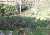 Finca rústica en venda a A Lama ref.: TR188445 foto