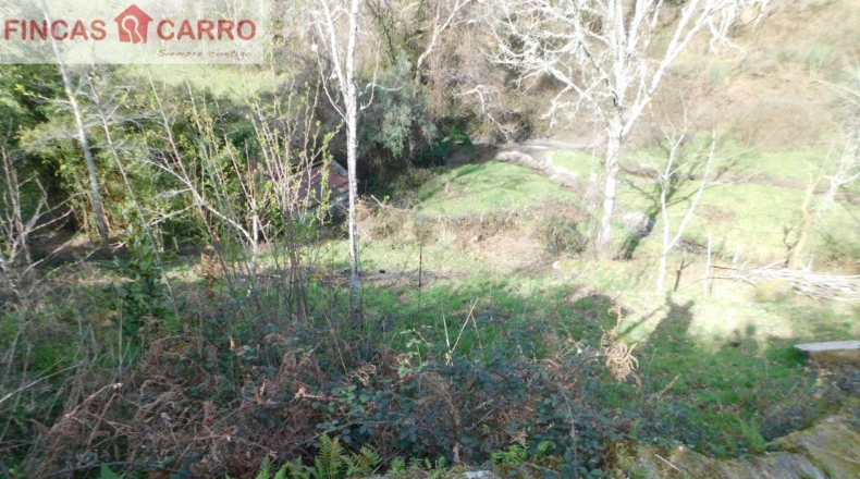 Pontevedra - Arcos - 4000m2