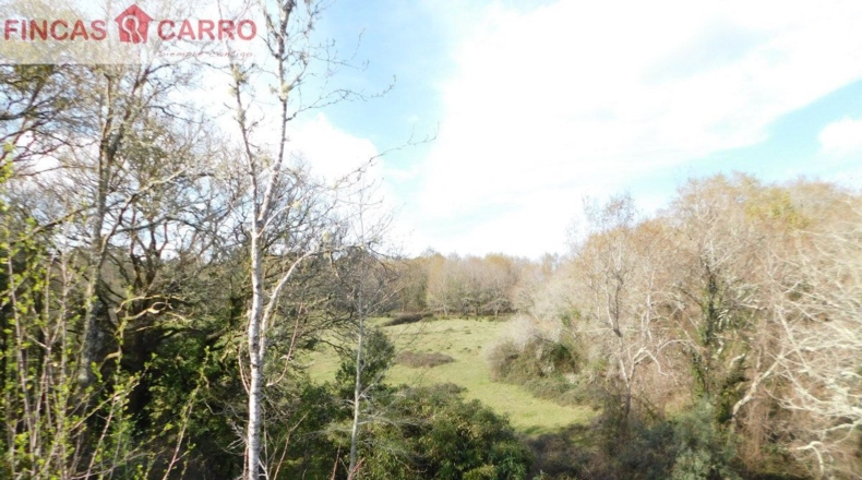 Pontevedra - Arcos - 4000m2