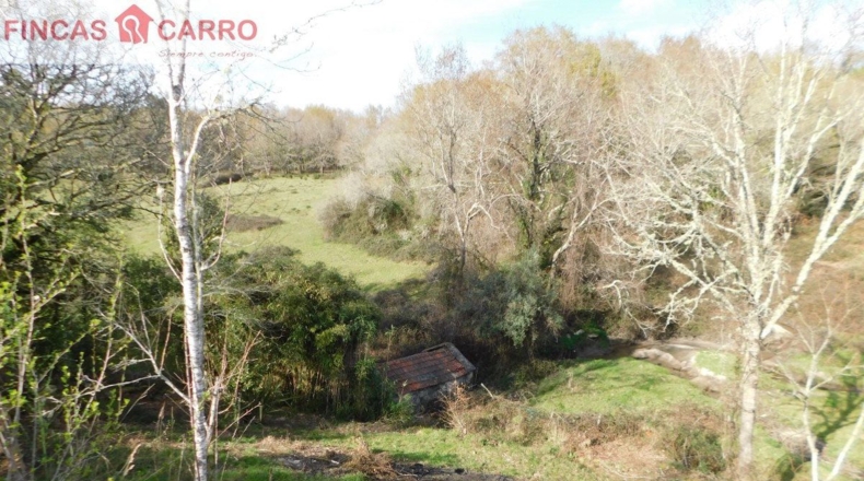 Pontevedra - Arcos - 4000m2