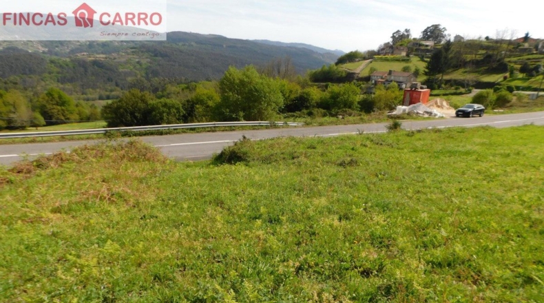 Pontevedra - Lameiro - 4631m2