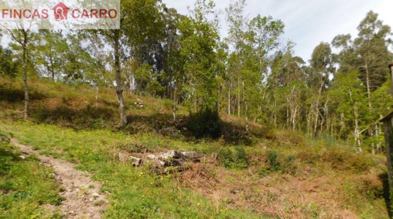 Pontevedra - Lameiro - 4631m2