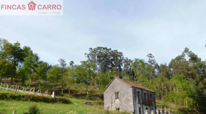 Pontevedra - Lameiro - 4631m2