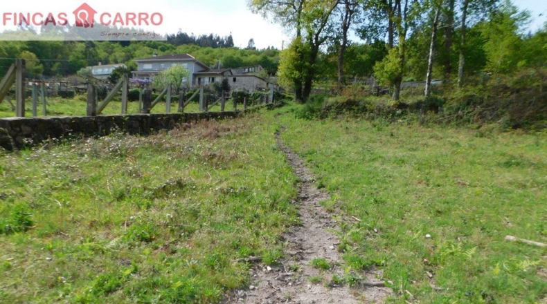 Pontevedra - Lameiro - 4631m2