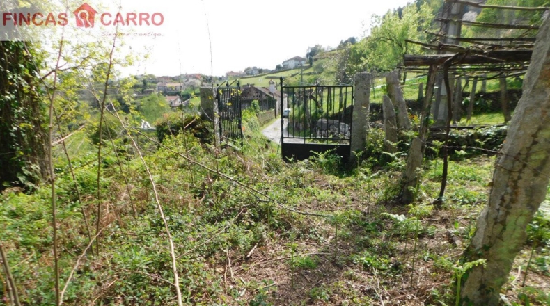 Pontevedra - Lameiro - 4631m2