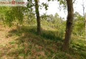 Rural estate for sale in O Lameiro ref: TR76241 photo