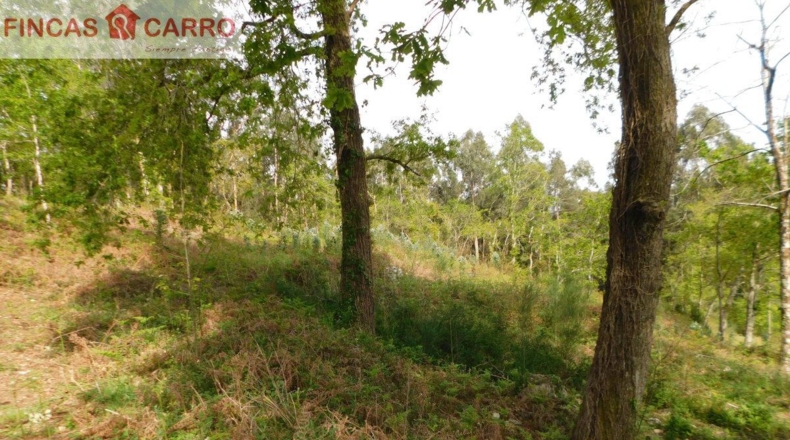 Pontevedra - Lameiro - 4631m2