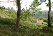 Rural estate for sale in O Lameiro ref: TR76241 photo