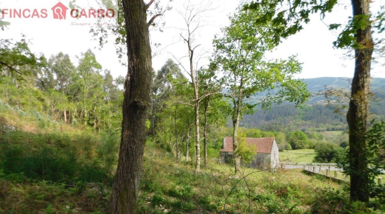 Pontevedra - Lameiro - 4631m2