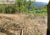 Rural estate for sale in O Lameiro ref: TR76241 photo