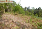 Rural estate for sale in O Lameiro ref: TR76241 photo