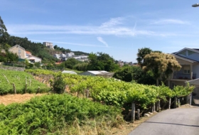 Souto de Poio 733&nbsp;m² 