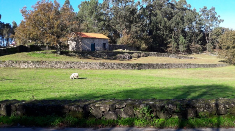 Pontevedra - Pontevedra - 6540m2