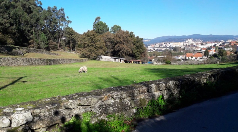 Pontevedra - Pontevedra - 6540m2